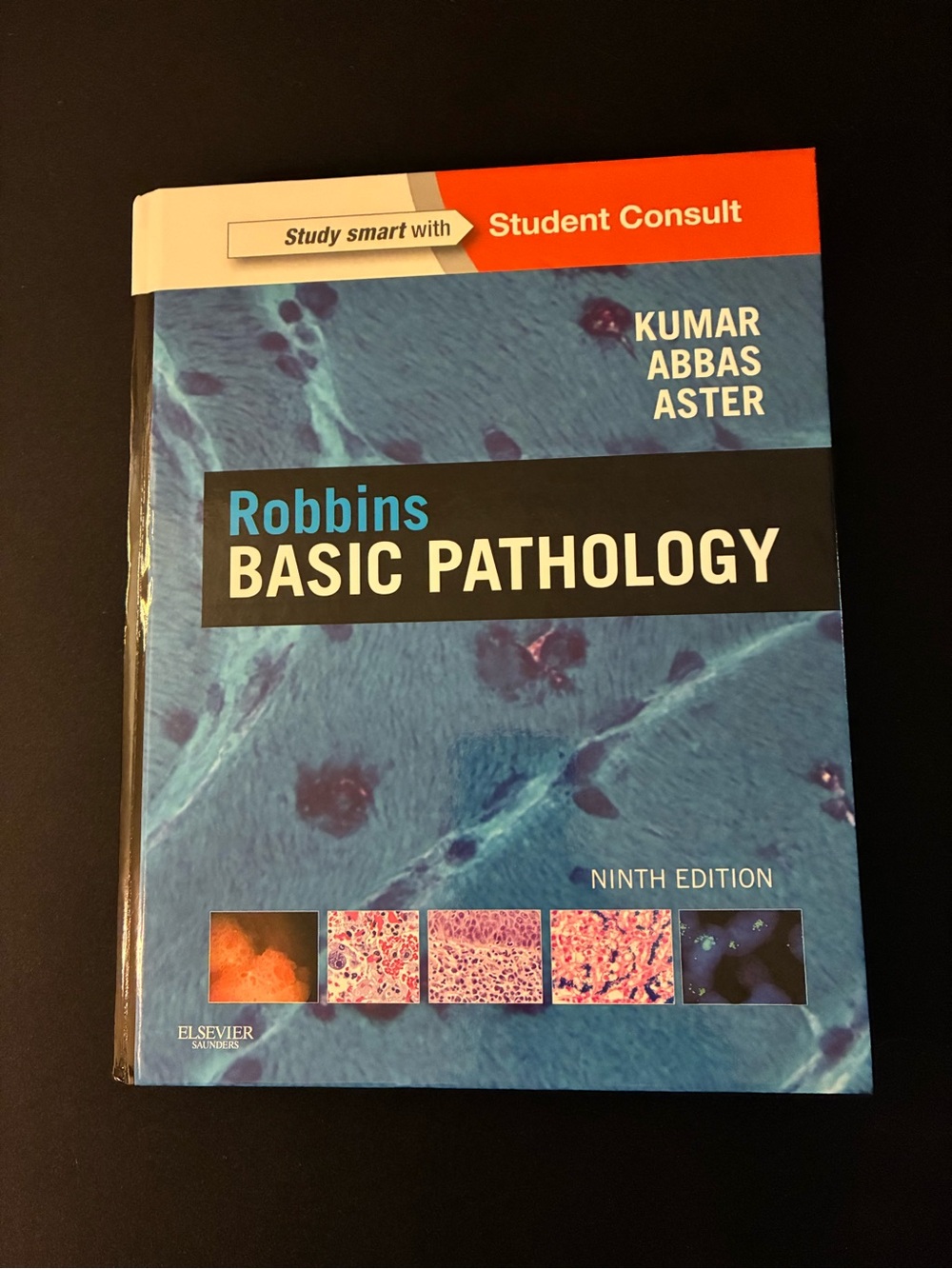 Robbins Basic Pathology Ninth Edition Textbook